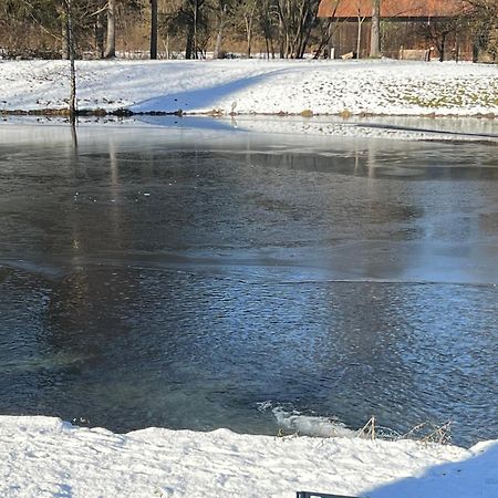 Haus Am Fischteich Leilighet Feistritz ob Bleiburg Eksteriør bilde