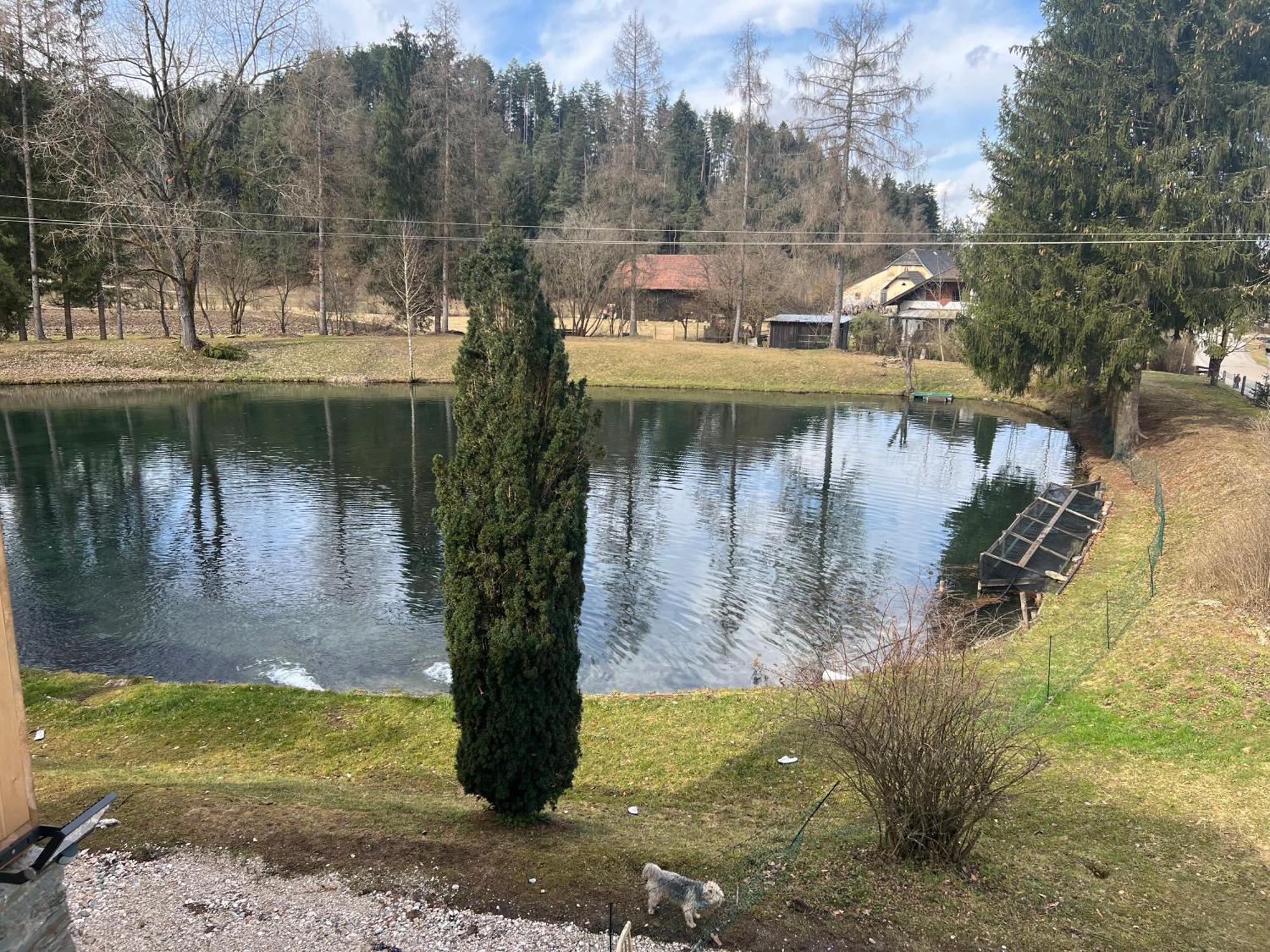 Haus Am Fischteich Leilighet Feistritz ob Bleiburg Eksteriør bilde