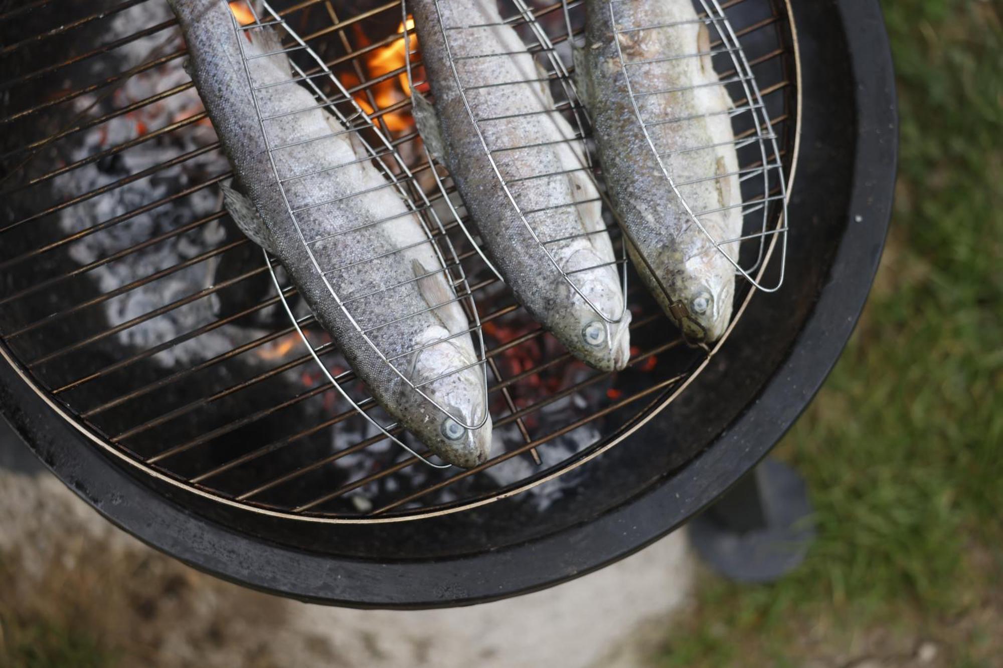 Haus Am Fischteich Leilighet Feistritz ob Bleiburg Eksteriør bilde